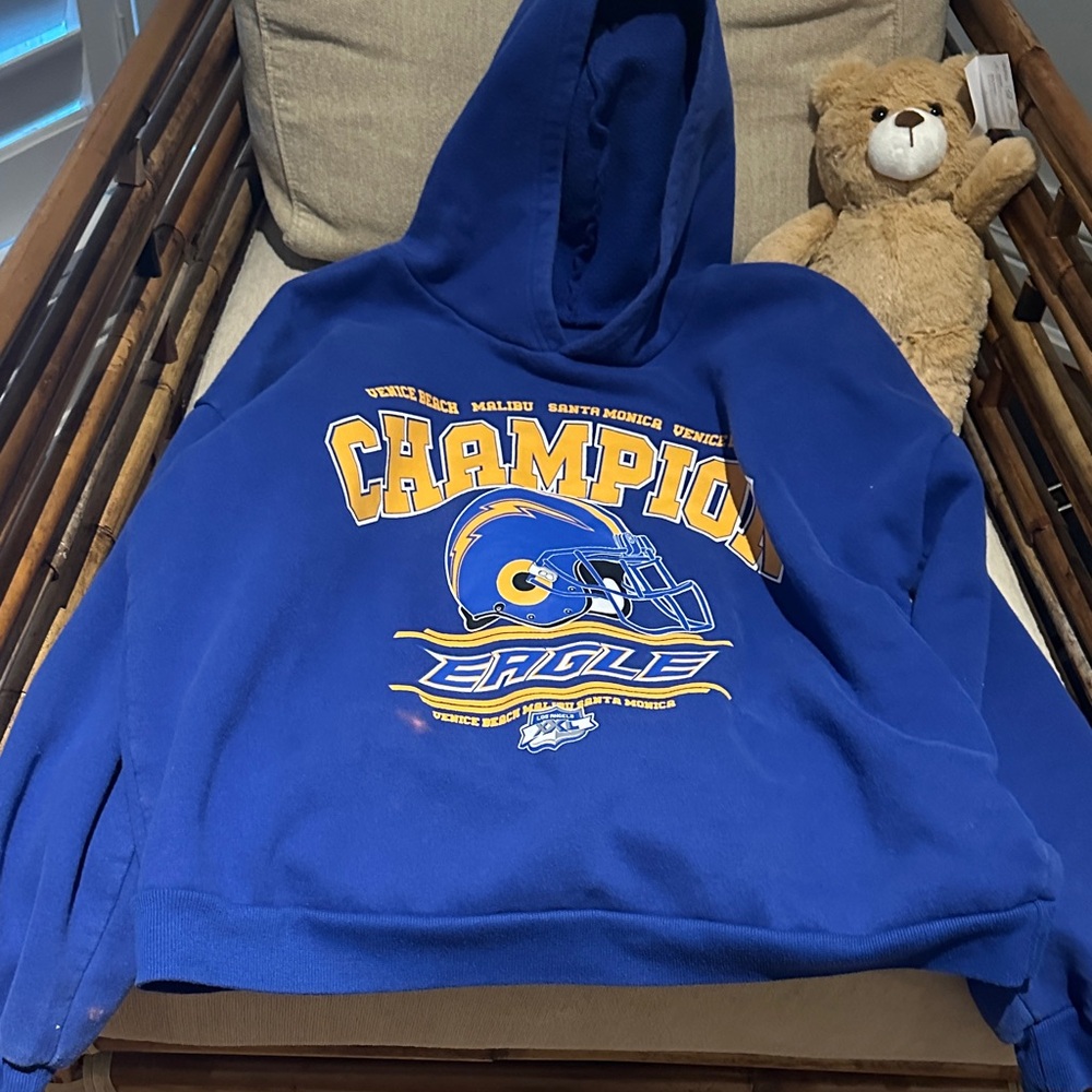 Blue and Yellow Eagles Hoodie